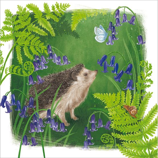 Happy Hedgehog Greetings Card