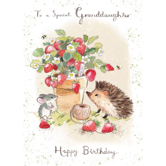 Hedgehog And Strawberry Pot Greetings Card