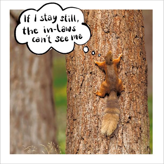 Hiding from the In-laws Greetings Card