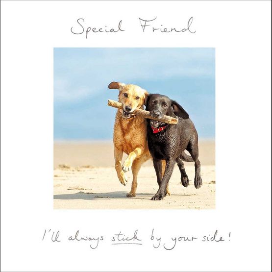 Partner in Crime Greetings Card