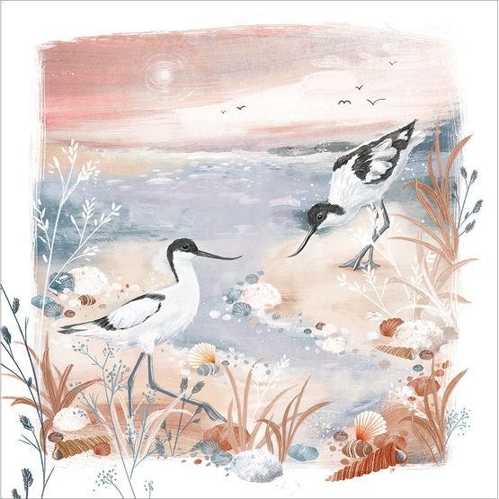 Pied Avocets Greetings Card