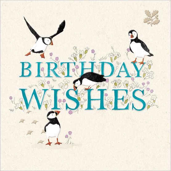 Puffin Capers Greetings Card