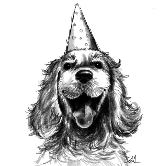 Sketch Of Scruffy Looking Dog Greetings Card