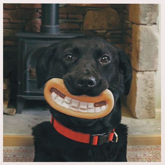 Smile Gromit Greetings Card