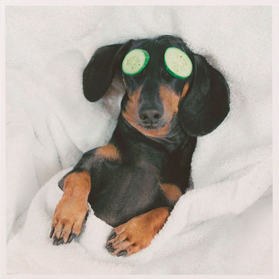 Spa Day Greetings Card