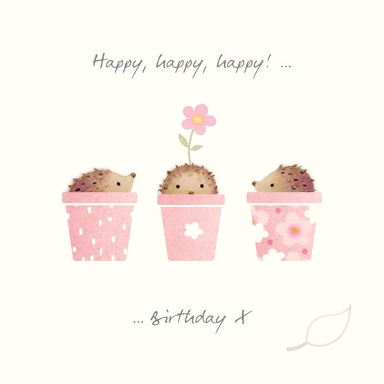 Hedgehogs in Pots Greetings Card