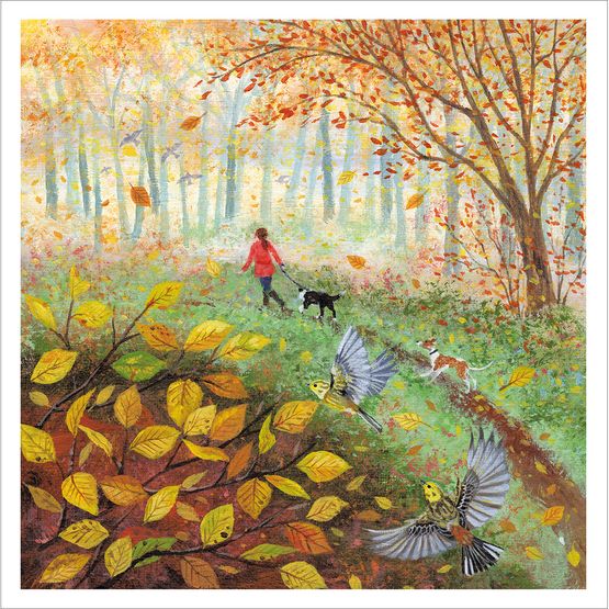 Walk in the Woods Greetings Card