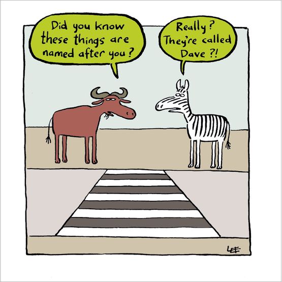 Zebra Crossing Greetings Card