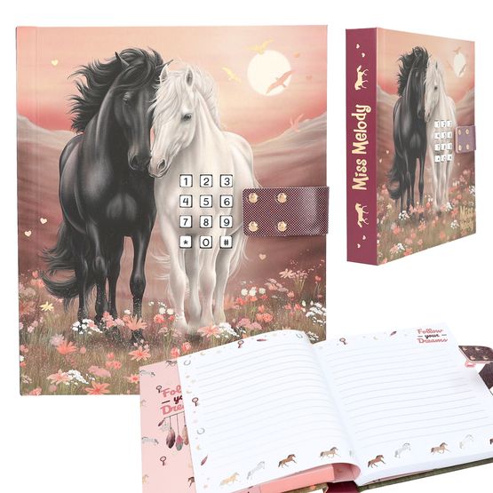 Miss Melody - Diary with Code &amp; Sound