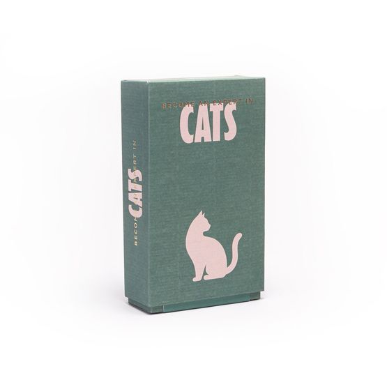 pikkii. - Become an Expert in Cats