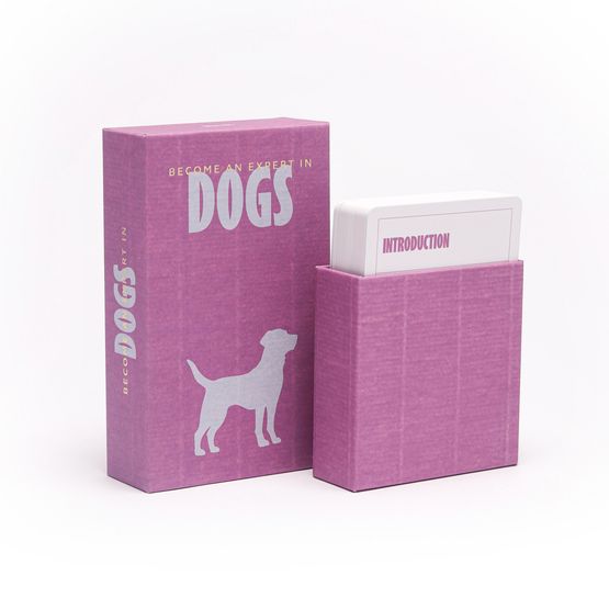 pikkii. - Become an Expert in Dogs
