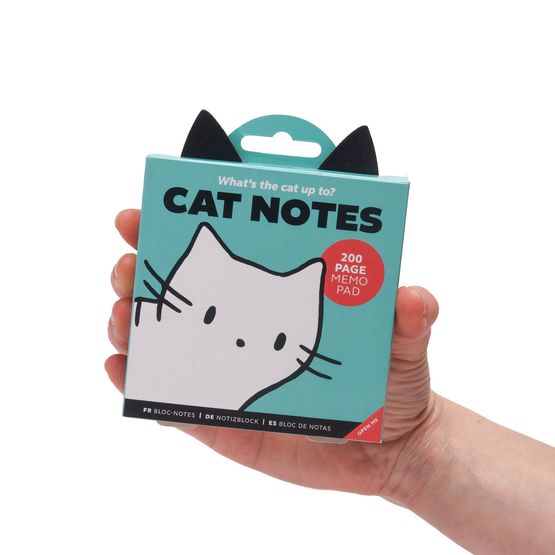 pikkii. - What's the Cat Up To Notes