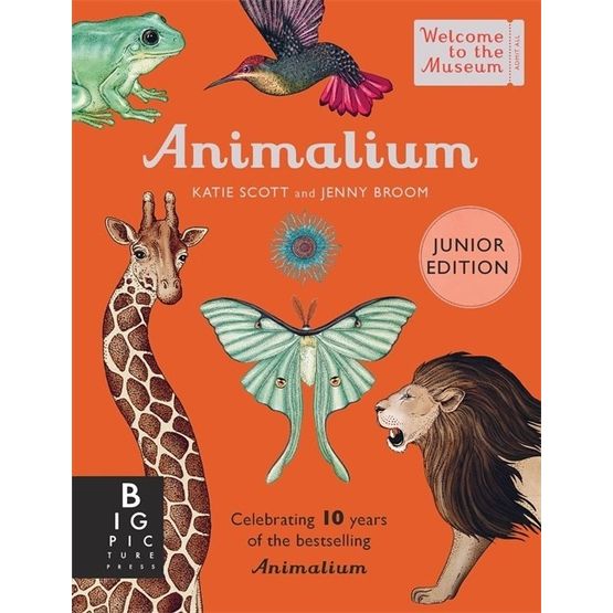 Animalium Junior Edition Book