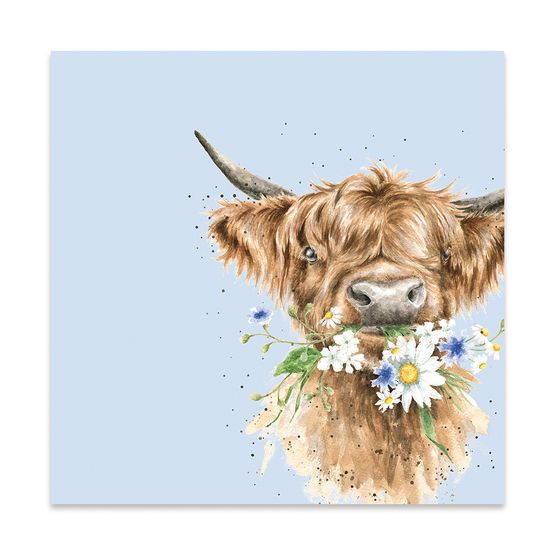 Wrendale Designs - Daisy Coo Highland Cow Napkin