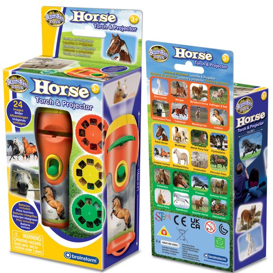 Horse Torch &amp; Projector