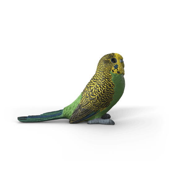 Schleich - Budgie