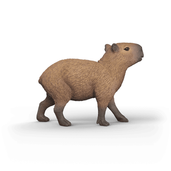 Schleich - Capybara