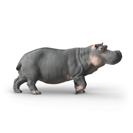 Schleich - Hippopotamus