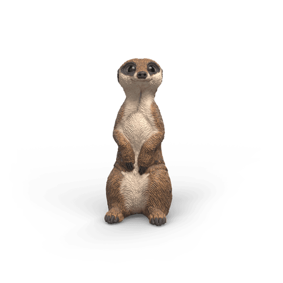 Schleich - Meerkat