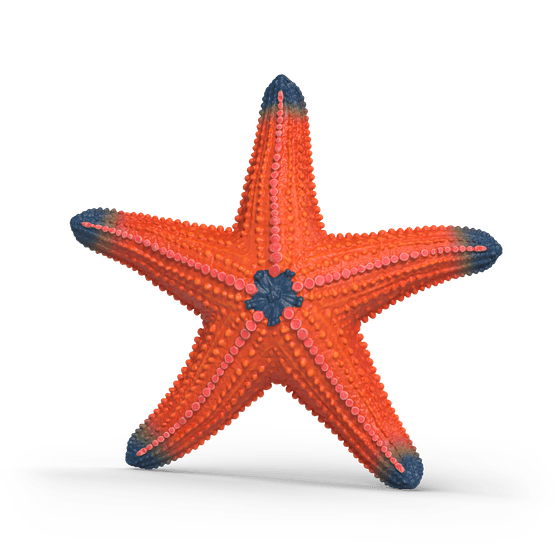 Schleich - Starfish Colour Change