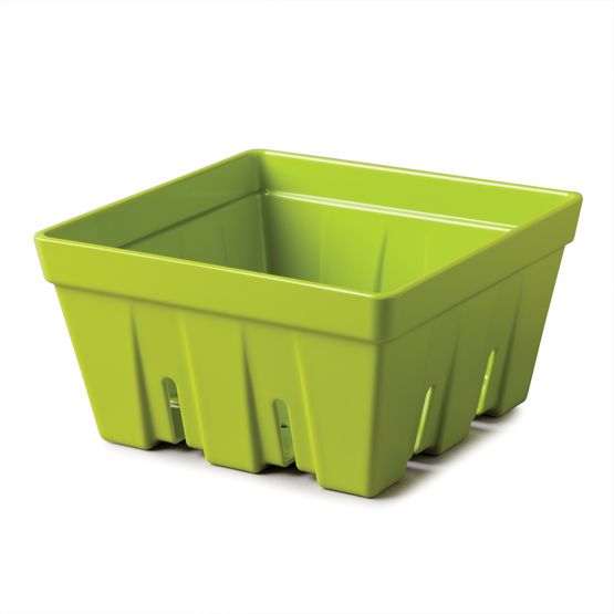 Zeal - Melamine Fruit &amp; Salad Box Lime