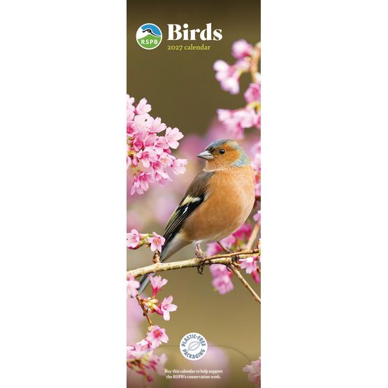 Otter House - Birds RSPB Slim Calendar 2027