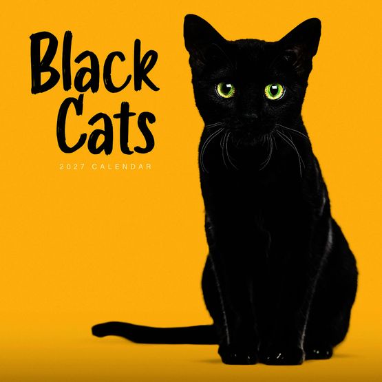 Otter House - Black Cats Wall Calendar 2027