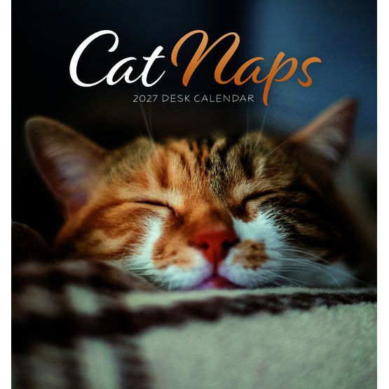 Otter House - Cat Naps Easel Calendar 2027