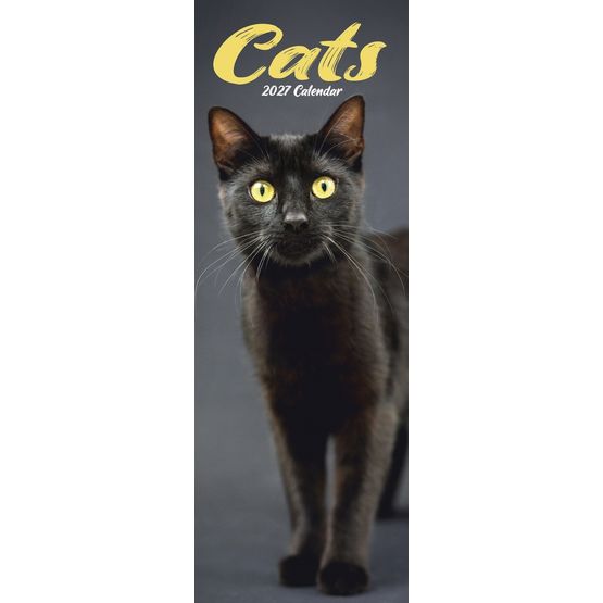 Otter House - Cats Slim Calendar 2027
