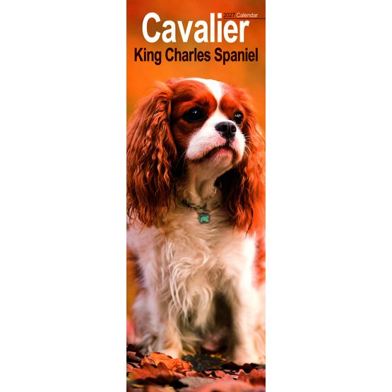 Otter House - Cavalier King Charles Spaniel Slim Calendar 2027
