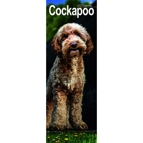 Otter House - Cockapoo Slim Calendar 2027
