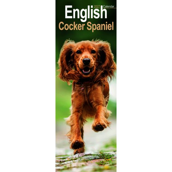 Otter House - English Cocker Spaniel Slim Calendar 2027