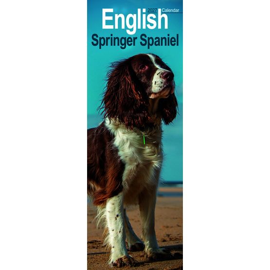 Otter House - English Springer Spaniel Slim Calendar 2027