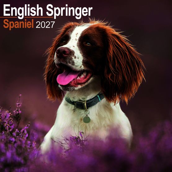 Otter House - English Springer Spaniel Wall Calendar 2027