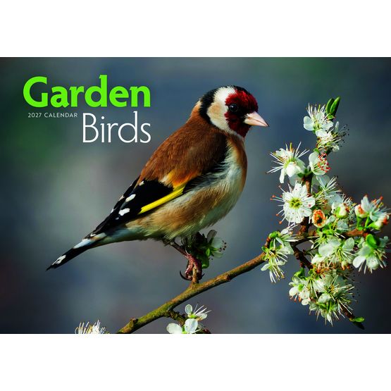 Otter House - Garden Birds A4 Calendar 2027