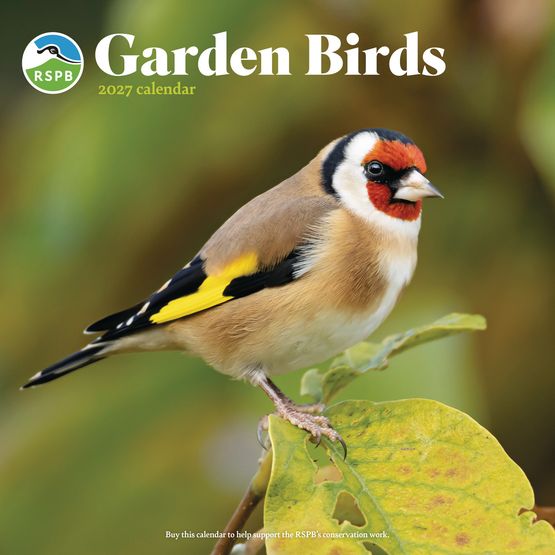 Otter House - Garden Birds RSPB Wall Calendar 2027