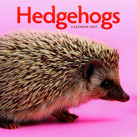 Otter House - Hedgehogs Wall Calendar 2027