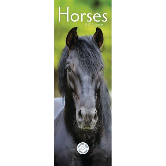 Otter House - Horses Slim Calendar 2027