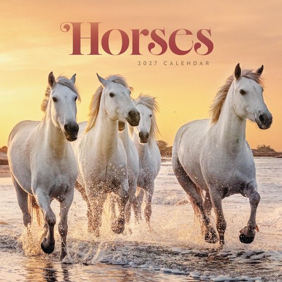 Otter House - Horses Wiro Wall Calendar 2027