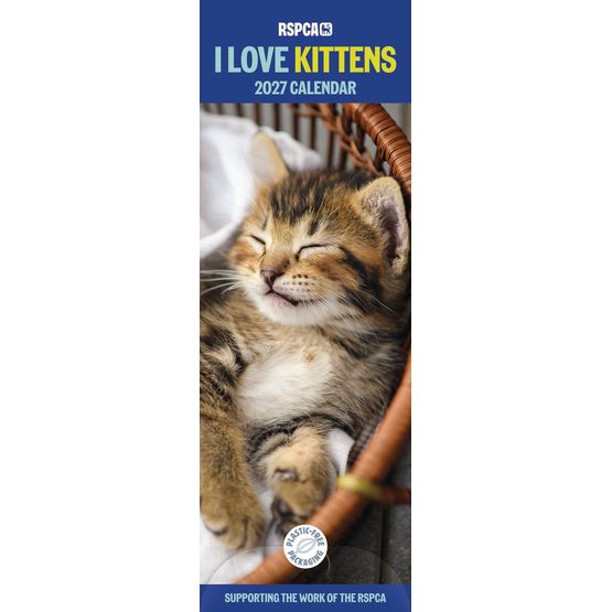 Otter House - Kittens I Love RSPCA Slim Calendar 2027