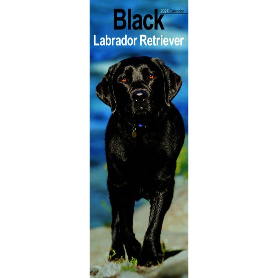Otter House - Labrador Retriever Black Slim Calendar 2027