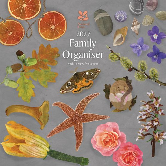 Otter House - National Trust WT Planner Wall Calendar 2027