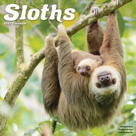 Otter House - Sloths Wall Calendar 2027