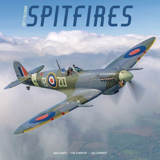 Otter House - Spitfires Wall Calendar 2027