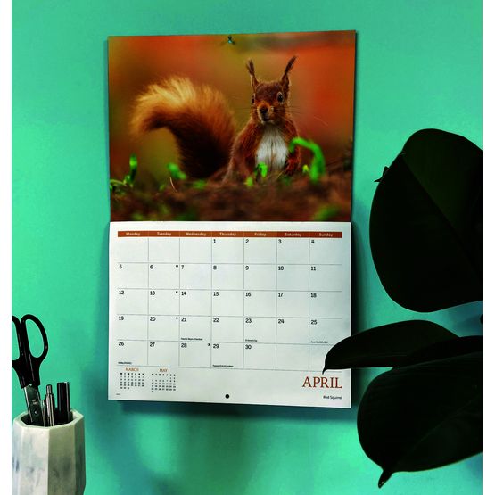 Otter House - Wildlife of Britain A4 Calendar 2027