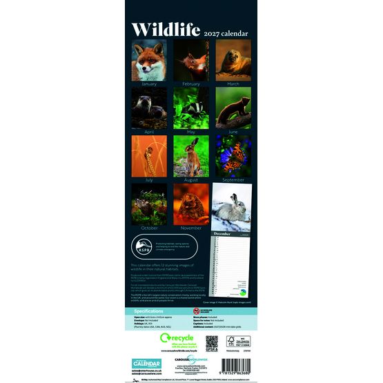 Otter House - Wildlife RSPB Slim Calendar 2027