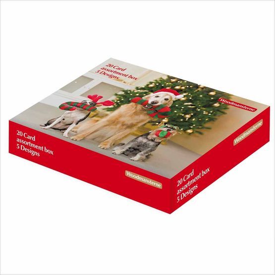 3 Dog Friends Box of Christmas Cards