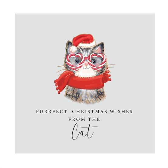 Cat Candycane Glasses Christmas Card