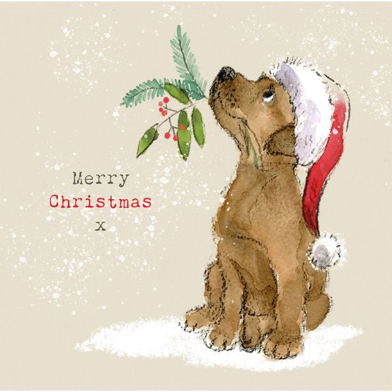 Chocolate Labrador Christmas Card