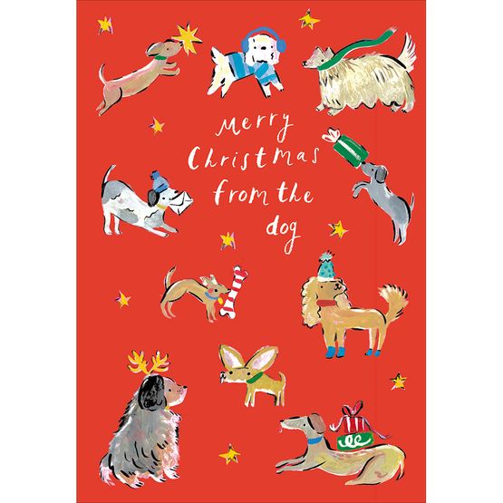 Different Dog Breeds Christmas Card